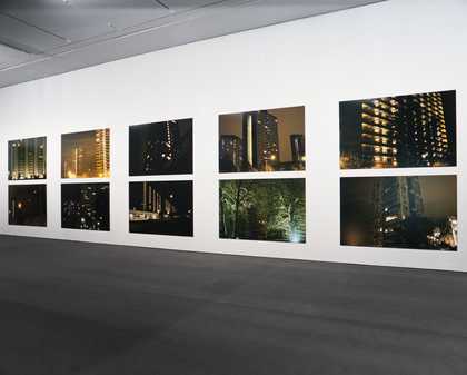 Knut Åsdam, Psychasthenia (10) 2000 © Tate Photography