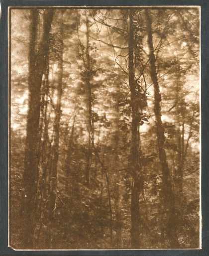 Koichiro Kurita, The Window Side, Montville, ME, 2013