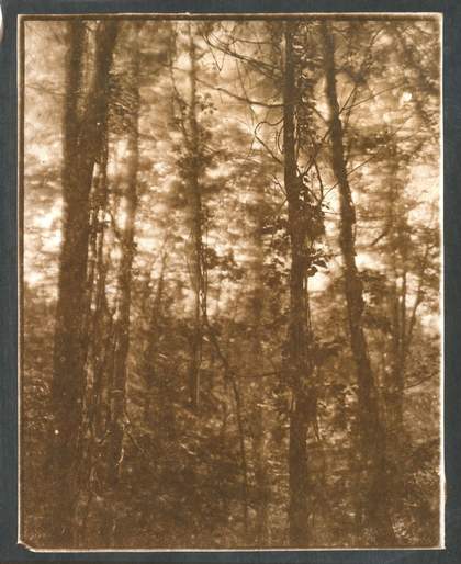 Koichiro Kurita, ​The Window Side​, Montville, ME​, ​2013     