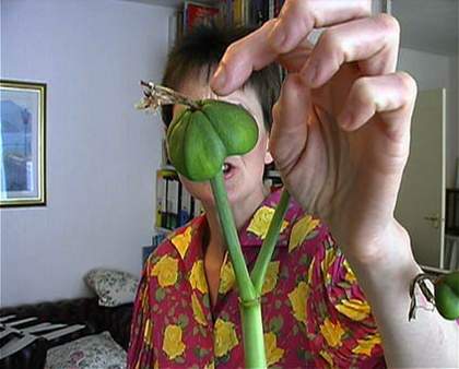 Kutlug Ataman Still from The 4 Seasons of Veronica Read  2002