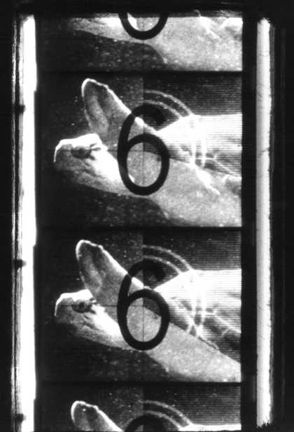 Cecile Fontaine, La Pêche Miraculeuse 1995 Film still