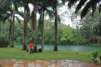 Landscape at Inhotim