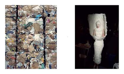 Nick Waplington, Untitled, 2008-2009