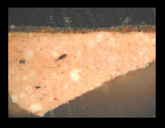 Fig.5 Cross-section through brown paint at the lower left edge, photographed at x260 magnification.