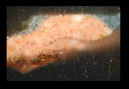 Fig.5 Cross-section through the sky, photographed at x260 magnification. From the bottom: pink ground; blue paint of the sky, which is a mixture of lead white, ultramarine and smalt