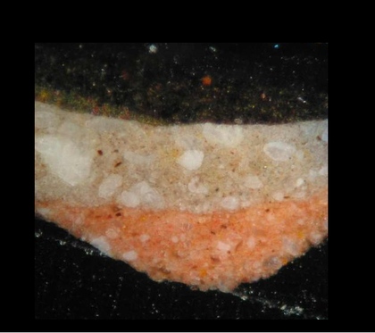 Fig.5 Cross-section through the hat below the top right corner, photographed at x320 magnification.