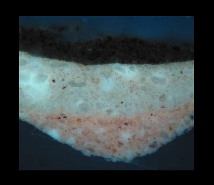 Fig.6 Cross-section through the hat below the top right corner, photographed at x320 magnification in ultraviolet light.