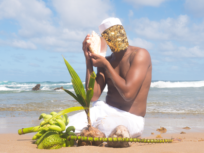 A figure in a sequin mask with plants and a conch shell