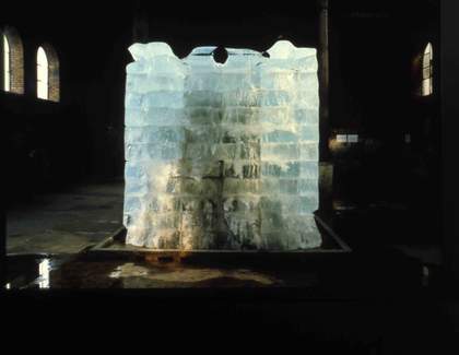 Anya Gallaccio, intensities and surfaces, photographed in April 1996