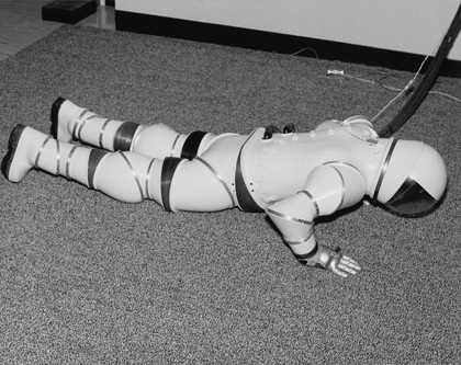 Untitled photograph from Larry Sultan and Mike Mandel's Evidence, 1977