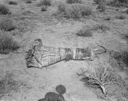 Untitled, from Larry Sultan's and Mike Mandel's Evidence, 1977