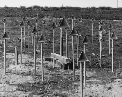 Untitled, from Larry Sultan and Mike Mandel's Evidence, 1977