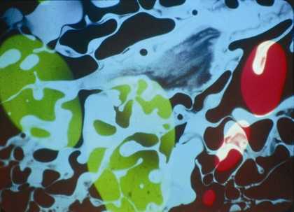 Mark Boyle and Joan Hills Projection from Son et Lumiere for Earth Air Fire and Water 1966