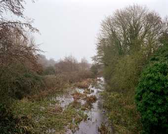 Mark Edwards River, Bungay 2010