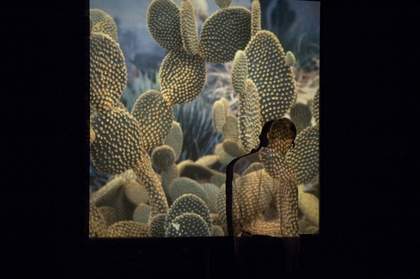 Marc Camille Chaimowicz, Partial Eclipse 1980