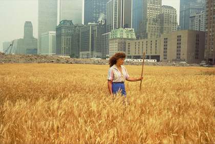 Agnes Denes stands in Wheatfield – A Confrontation: Battery Park Landfill, Downtown Manhattan 1982