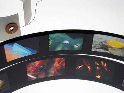 Microfilm strips