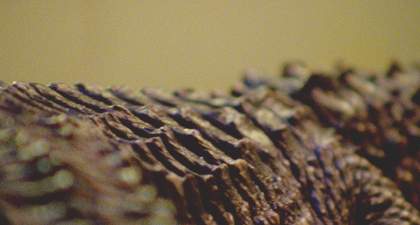 Phillip Warnell, Ming of Harlem: Twenty One Storeys in the Air, Film Still