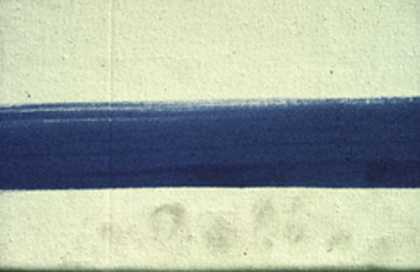 Detail of fingerprints on an acrylic paint film
