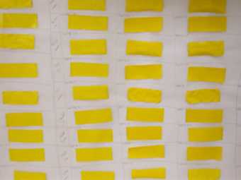 Selection of yellow acrylic paint films after immersion in cleaning solutions and ready for testing