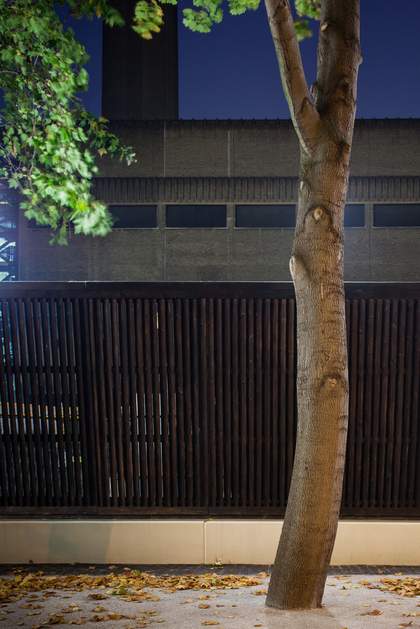 Heather & Ivan Morison The Skirt of the Black Mouth installation image