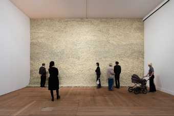 Photograph of Olfaur Eliasson's artwork Moss wall, 1994