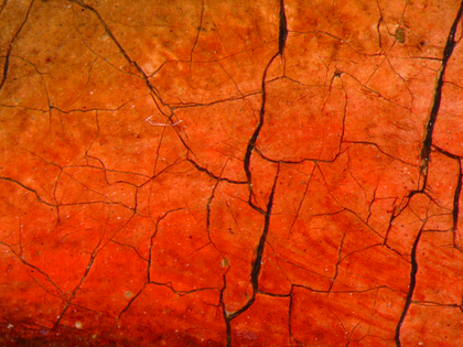 Fig.9 Small paint losses caused by lead soap aggregates reveal the pale pink priming