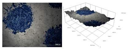 A 2D Hirox digital image showing an area with blue Ben-Day dots and 3D reconstruction