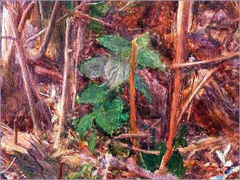 Detail of nettles from Ophelia