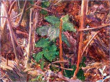 Detail of nettles from Ophelia