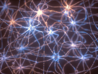 An image of neurons firing