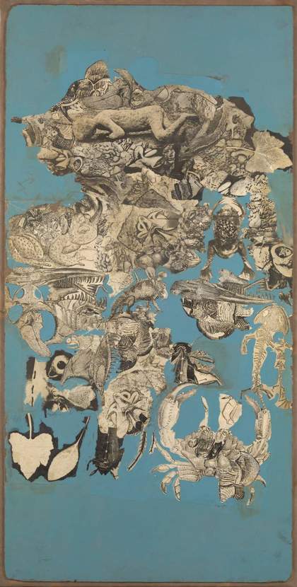 Nigel Henderson, Collage for ‘Patio and Pavilion’ (cycle of life and death in a pond), 1956