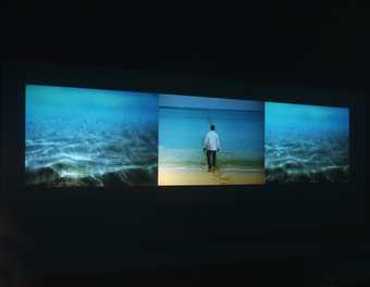 Film of figure standing on beach