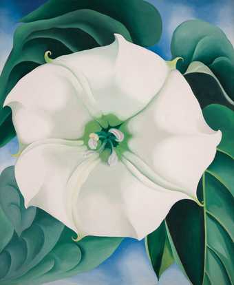 Georgia O'Keeffe painting Jimson Weed/White Flower close-up