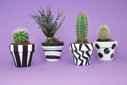 photograph of four painted plant pots