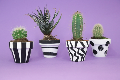 photograph of four painted plant pots