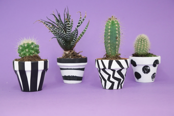 Shape-Shifting 'Origami' Pots That Grow Together With Your Plants