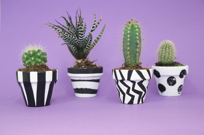 Two photographs of four painted plant pots 