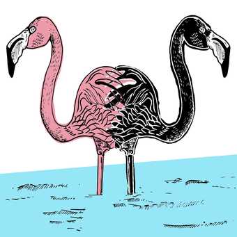 The Black Flamingo Open Studio