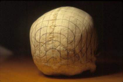 Gabriel Orozco Path of Thought 1997