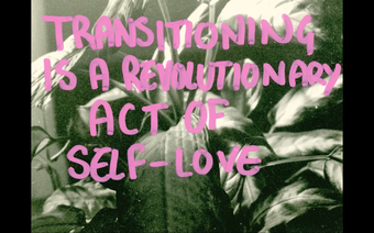 Black and white photograph of a houseplant, with handwritten pink text written across it saying ‘Transitioning is a radical act of self-love'