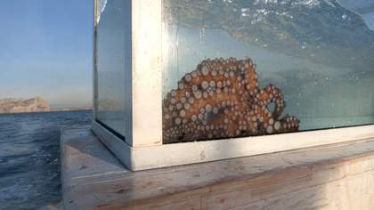 Phillip Warnell, Outlandish, Film Still.