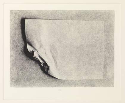 Liliana Porter, Wrinkle 1968