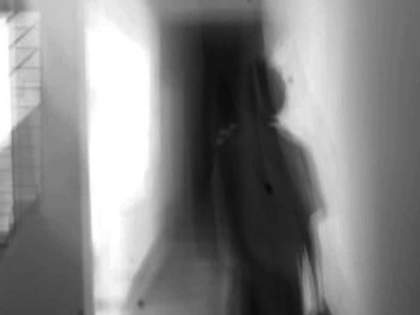 Pallavi Paul Nayi Kheti (New Harvest) 2013, black and white image of a distorted silhouette in a corridor