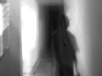 Pallavi Paul  Nayi Kheti (New Harvest) 2013, black and white image of a distorted silhouette in a corridor