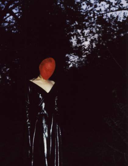 Pan Daijing by Sarah Piantadosi