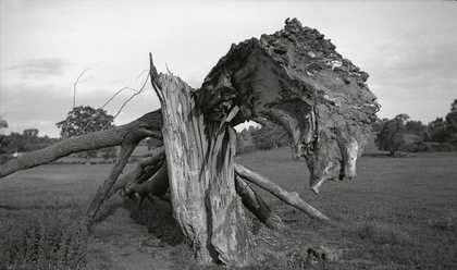 Paul Nash Monster Field 1938