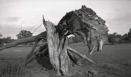 Paul Nash Monster Field 1938