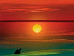 Paul Pfeiffer Morning After the Deluge 2003 Single channel DVD projection 