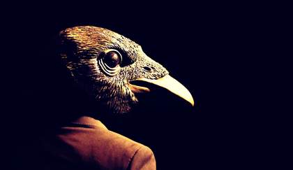 The Pecking Order, with The Sir John Cass School of Art, Architecture and Design